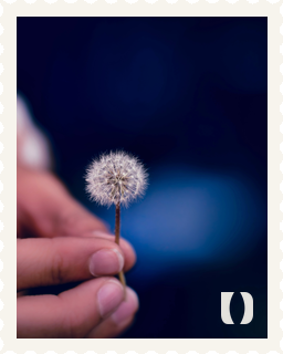 United Earth Issue 01 dandelion stamp